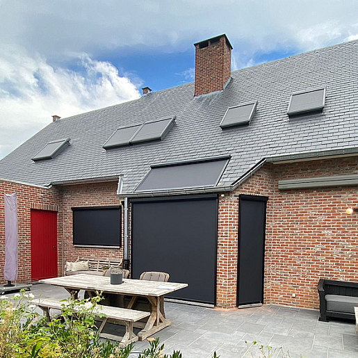 V550 | Olen